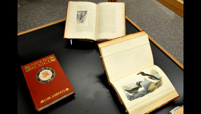 Aububon and Lumholtz original texts Aububon and Lumholtz original texts