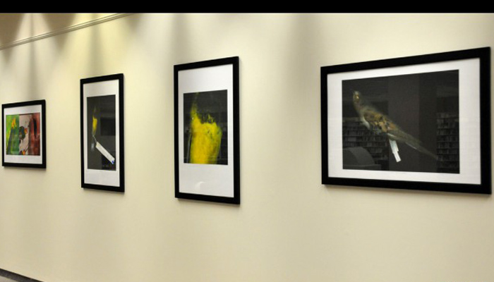 Main prints of lost species Main prints of lost species